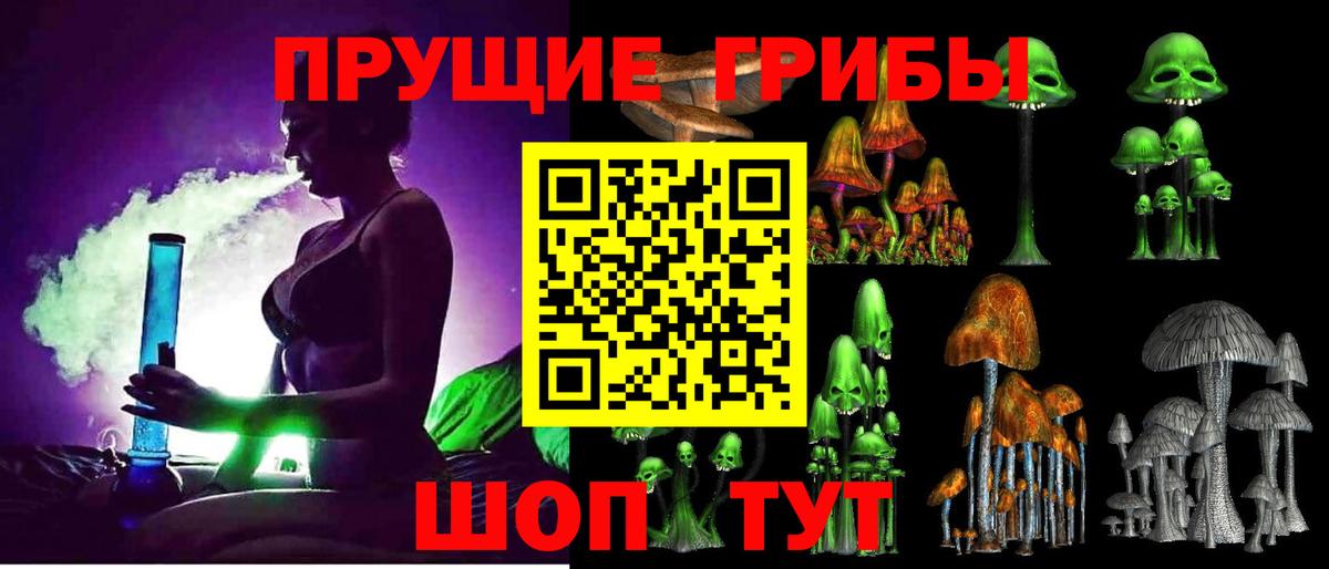 Галлюциногенные грибы Psilocybine cubensis Йошкар-Ола