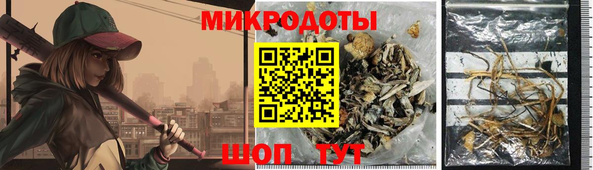 Йошкар-Ола  Псилоцибиновые грибы Psilocybe  Псилоцибиновые грибы Psilocybe  наркотики  Вход с VPN 